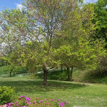Armonia Della Sera B&B And Relax Porto Sant'Elpidio