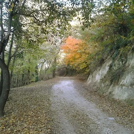 Armonia Della Sera And Relax Panzió