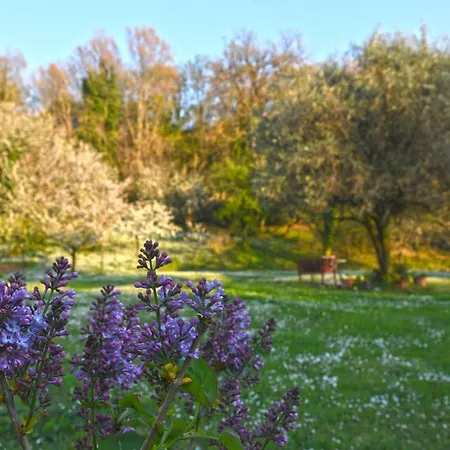 فندق مبيت وإفطار Armonia Della Sera And Relax 3*