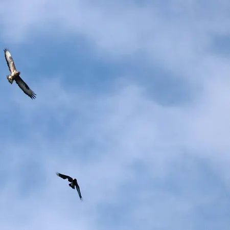 Armonia Della Sera And Relax 3*