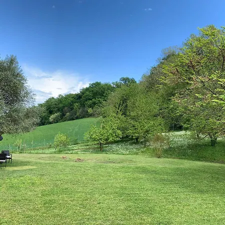 Armonia Della Sera And Relax